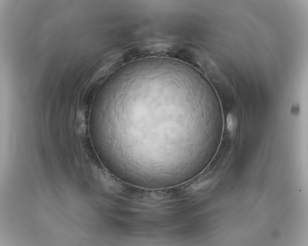 X0000090491203200707272333