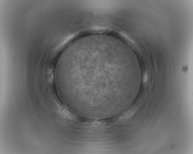 X0000090491204200707272333