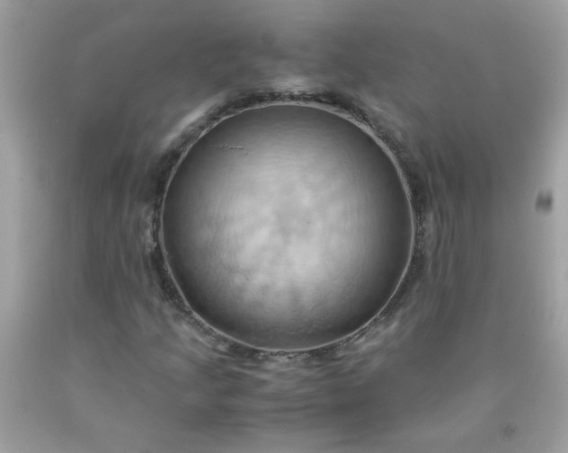 X0000090491205200707272333