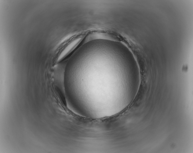 X0000090491206200707272333