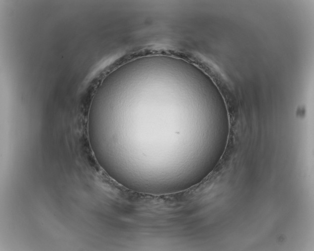 X0000090491207200707272333