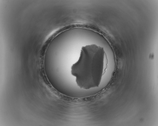 X0000090491208200707272333