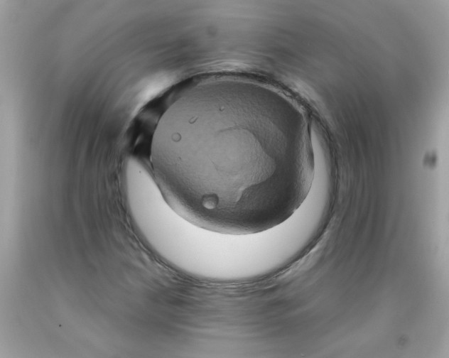 X0000090491210200707272333