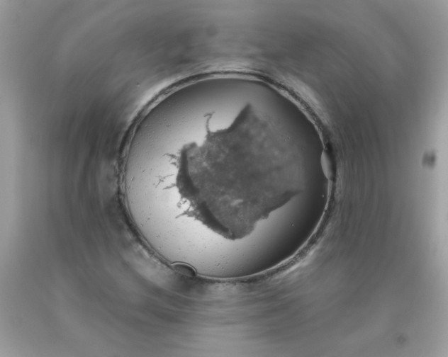 X0000090491212200707272333