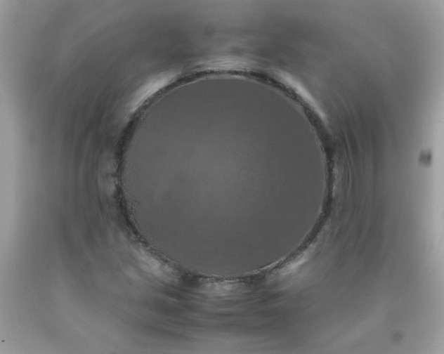 X0000090491213200707272333