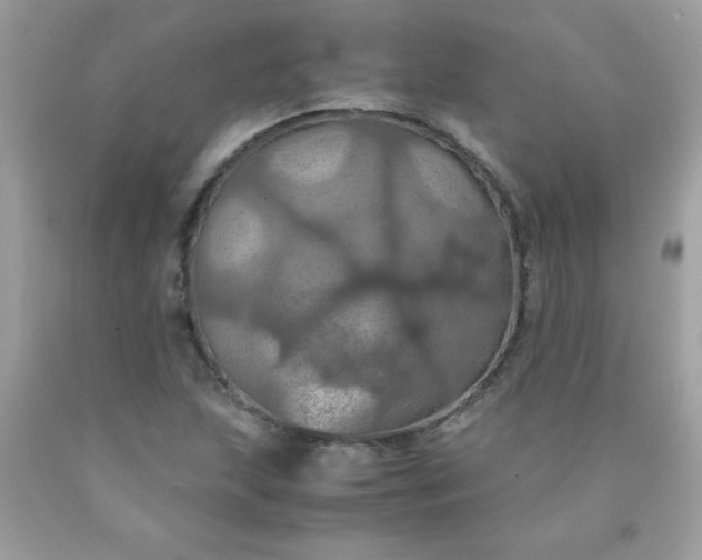 X0000090491215200707272333