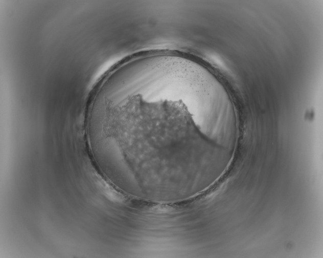 X0000090491216200707272333
