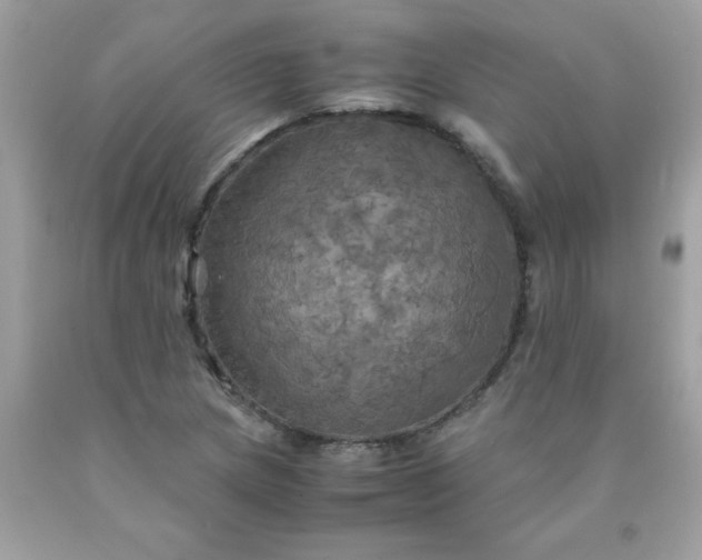 X0000090491217200707272333