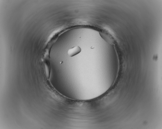 X0000090491218200707272333