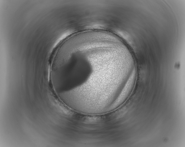 X0000090491219200707272333