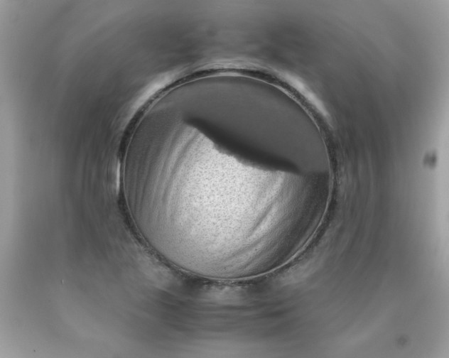 X0000090491221200707272333