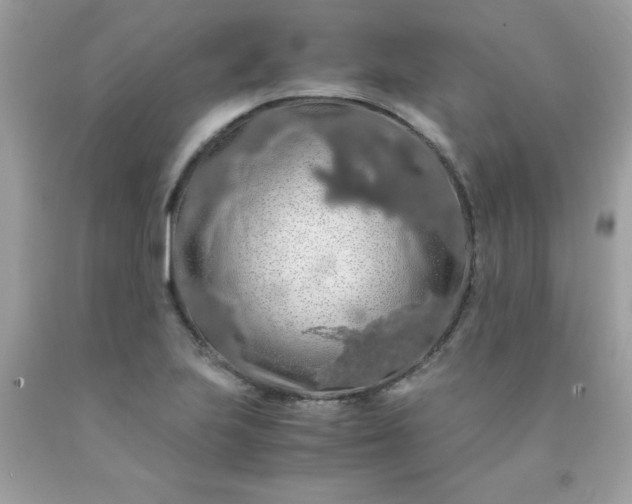 X0000090491223200707272333