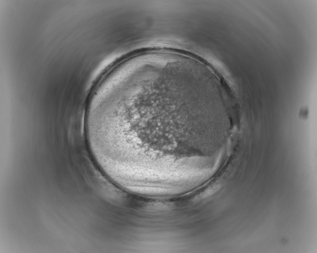 X0000090491224200707272333