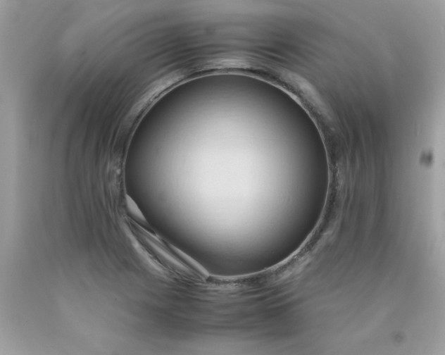 X0000090491225200707272333