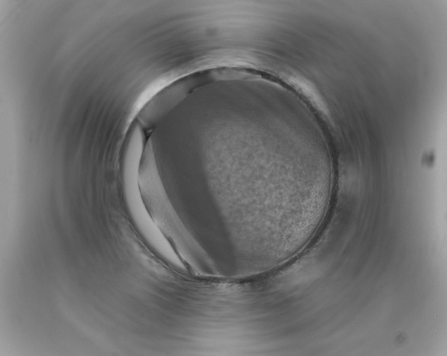 X0000090491226200707272333