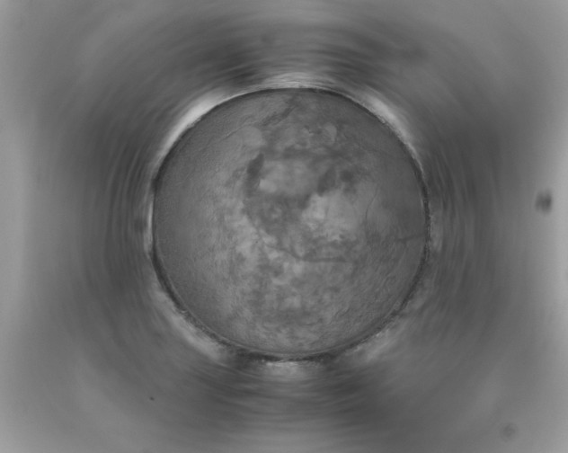 X0000090491227200707272333