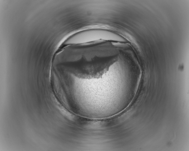 X0000090491228200707272333