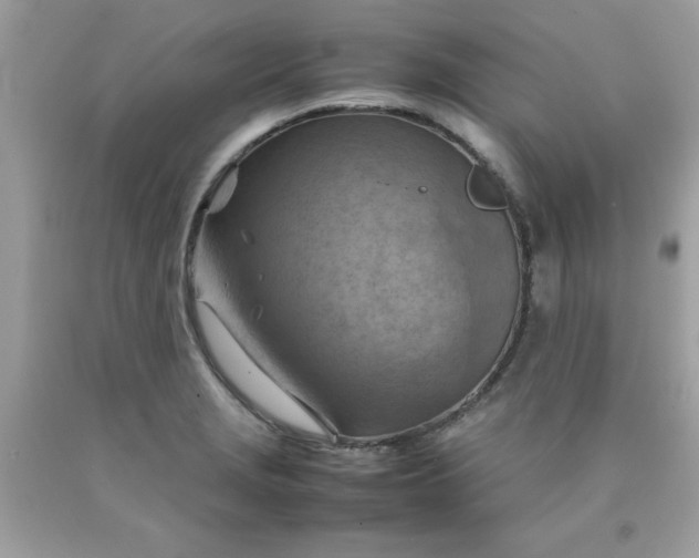 X0000090491229200707272333