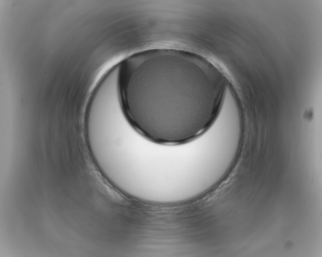 X0000090491230200707272333