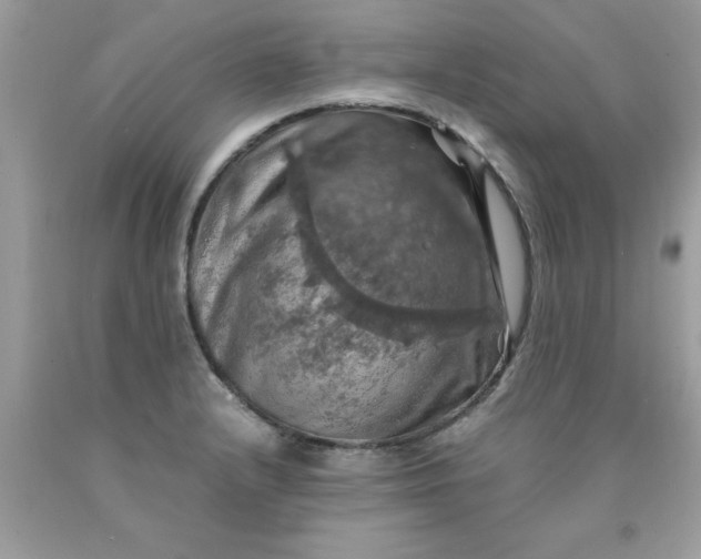 X0000090491232200707272333