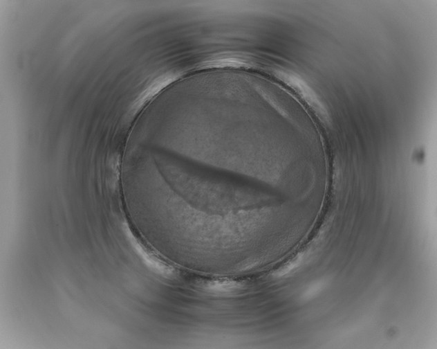X0000090491233200707272333