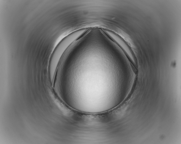 X0000090491234200707272333