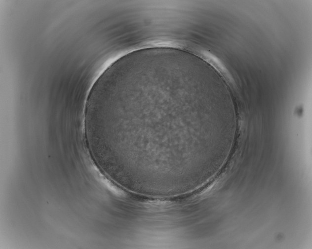 X0000090491236200707272333