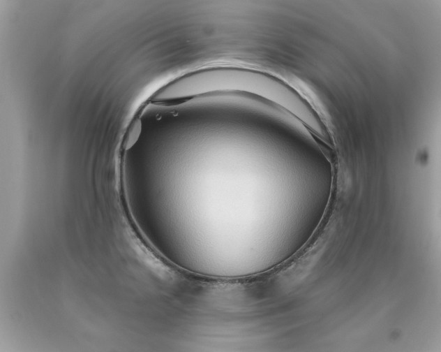 X0000090491238200707272333