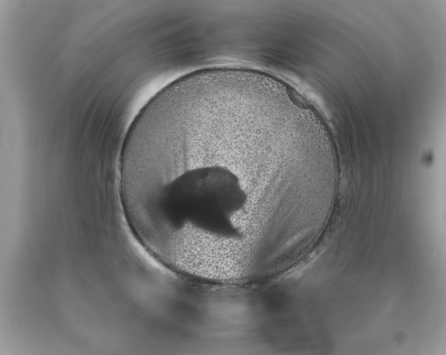 X0000090491239200707272333