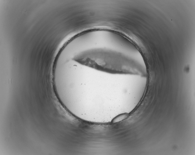 X0000090491240200707272333