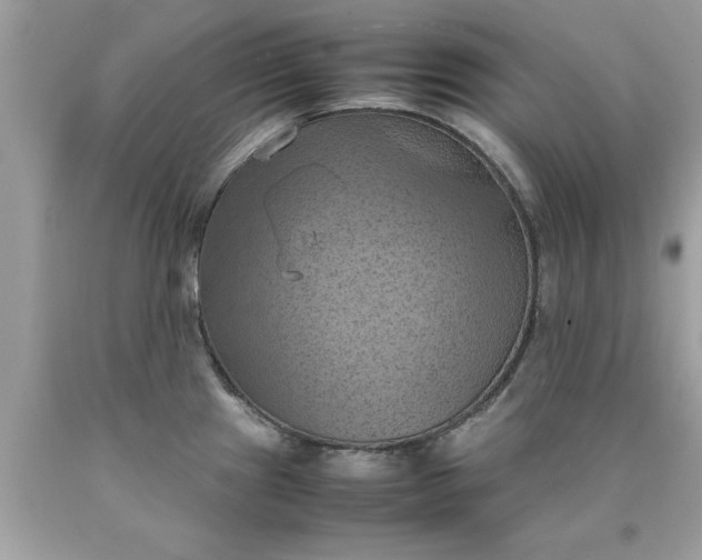 X0000090491241200707272333