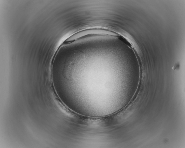 X0000090491242200707272333