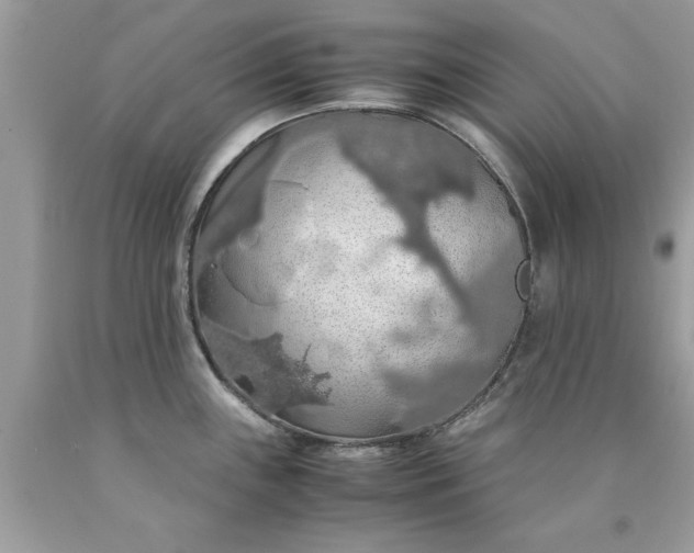 X0000090491243200707272333