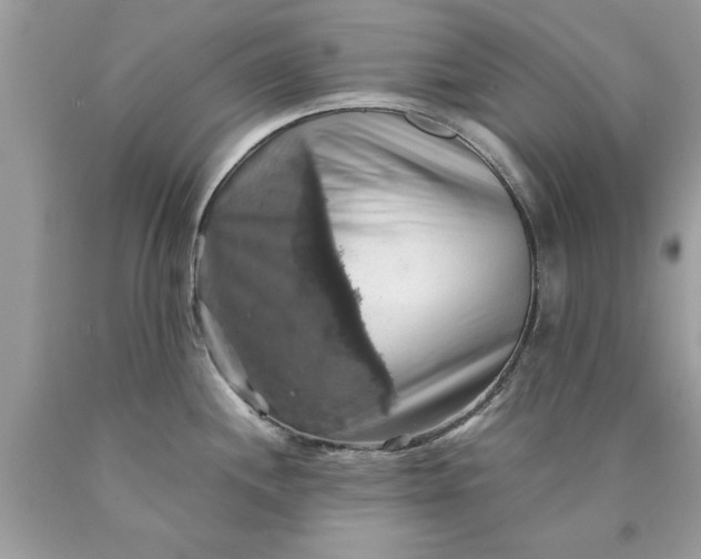 X0000090491244200707272333