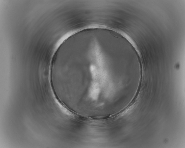 X0000090491245200707272333