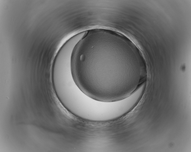 X0000090491246200707272333
