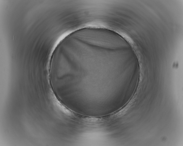 X0000090491248200707272334