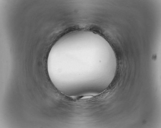 X0000090491249200707272333