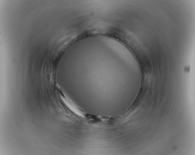 X0000090491250200707272333