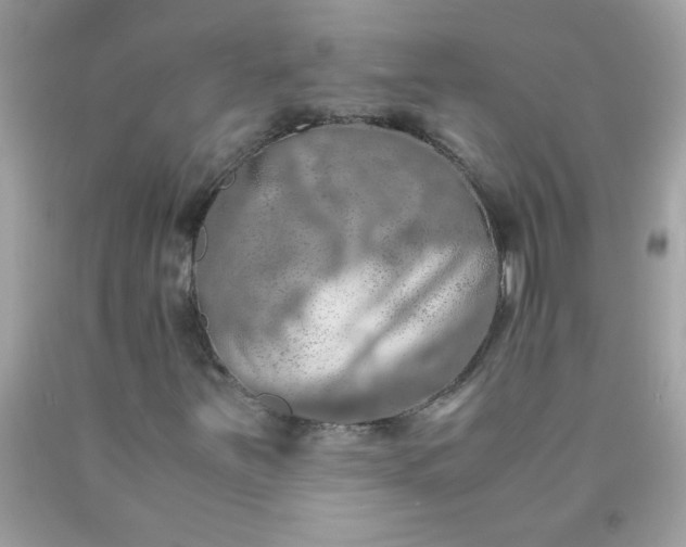 X0000090491251200707272333
