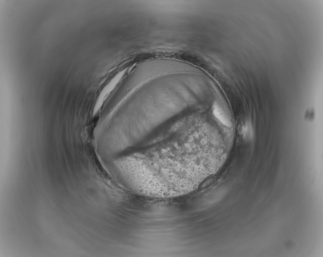 X0000090491252200707272333