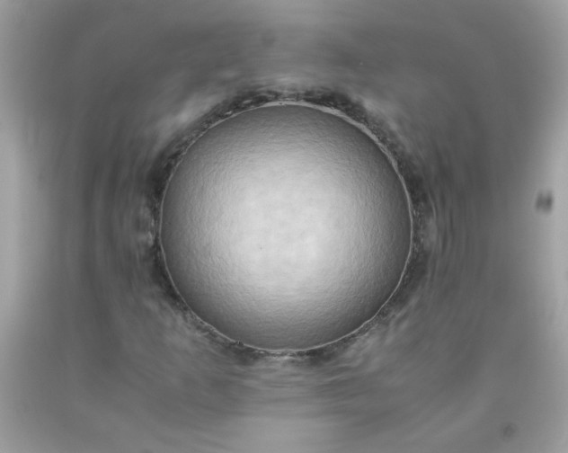 X0000090491253200707272333