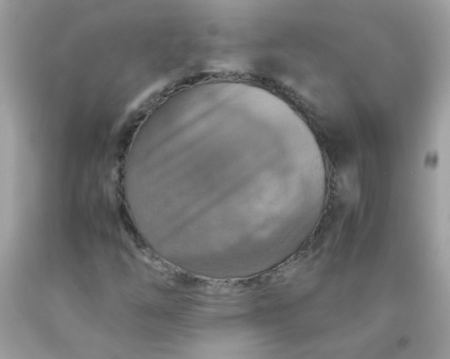 X0000090491254200707272333