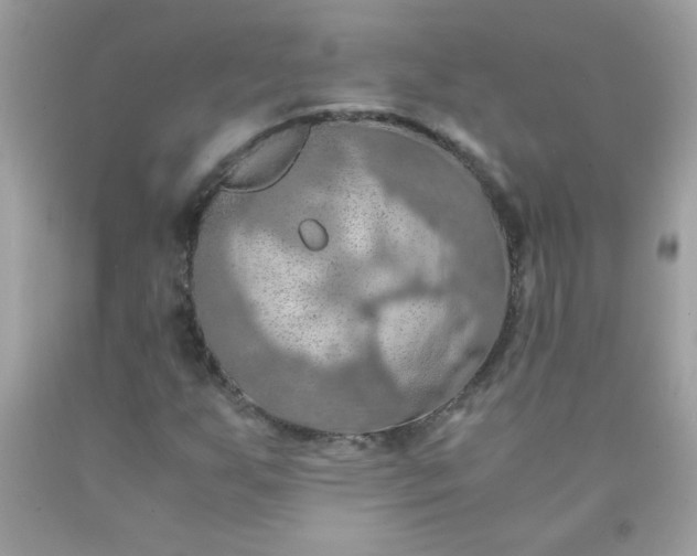 X0000090491255200707272333
