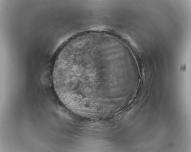 X0000090491256200707272333