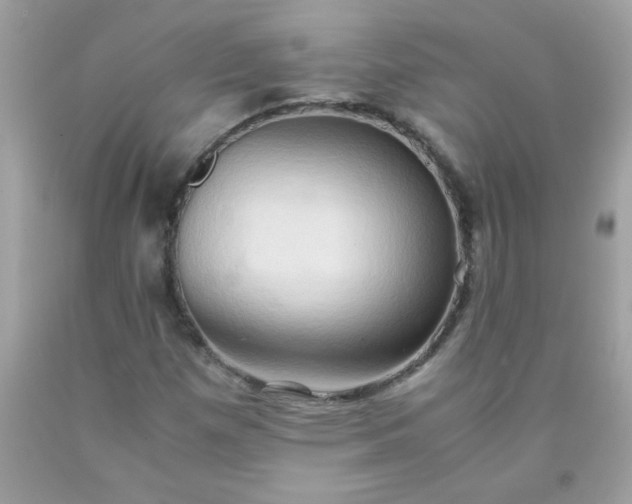X0000090491257200707272333