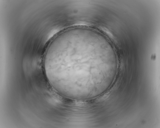 X0000090491258200707272333