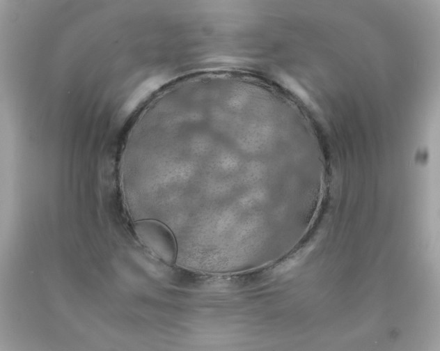 X0000090491259200707272333