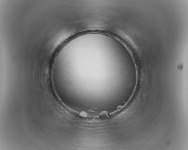 X0000090491261200707272333