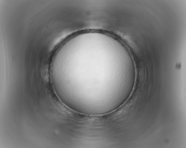 X0000090491262200707272333